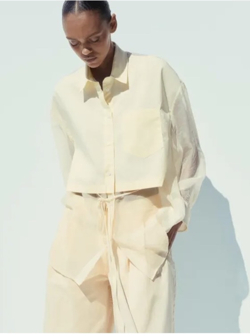 Zara Button Up Sheer Top